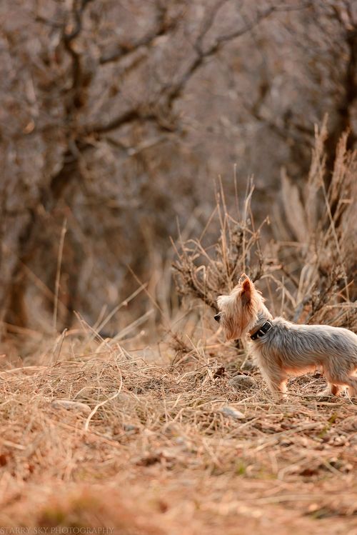 Feb 2016 firepit web (7 of 7)