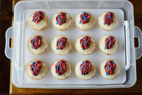 Apr 2016 lab cupcakes web (1 of 2)