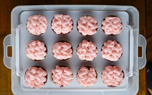 Apr 2016 lab cupcakes web (2 of 2)