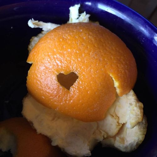 13009929_1121953944502048_1958057926_o