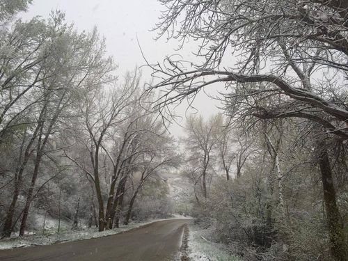 13036326_1121953794502063_697101413_o