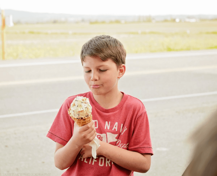 Apr 2016 ice cream web (4 of 7)