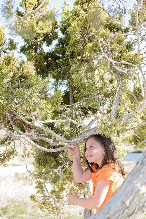 Apr 2016 tree web (2 of 3)