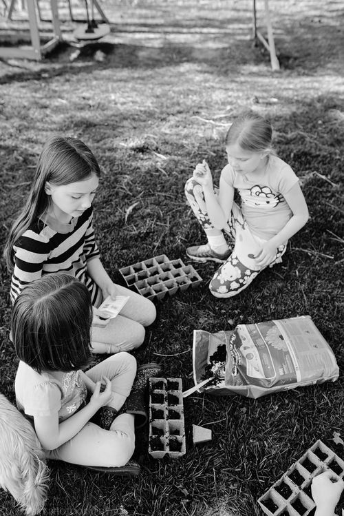 Apr 2016 garden web (4 of 5)-2