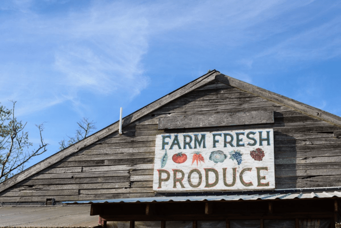 Apr 2016 ice cream web (3 of 7)