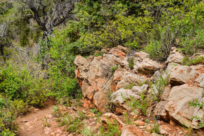 May 2016 causey web (7 of 9)