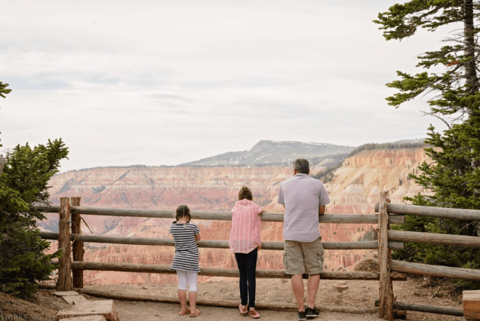 May 2016 Cedar breaks web (1 of 1)-6