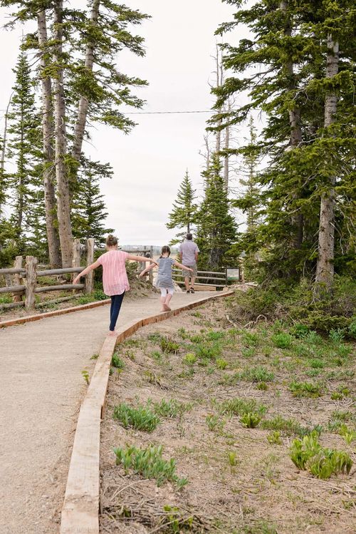 May 2016 Cedar breaks web (4 of 7)
