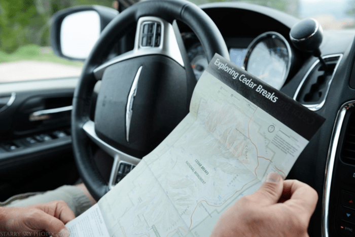 May 2016 Cedar breaks web (1 of 7)