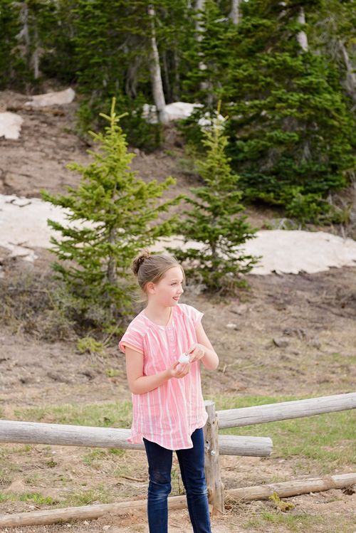 May 2016 Cedar breaks web (5 of 7)