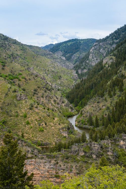 May 2016 causey web (3 of 4)