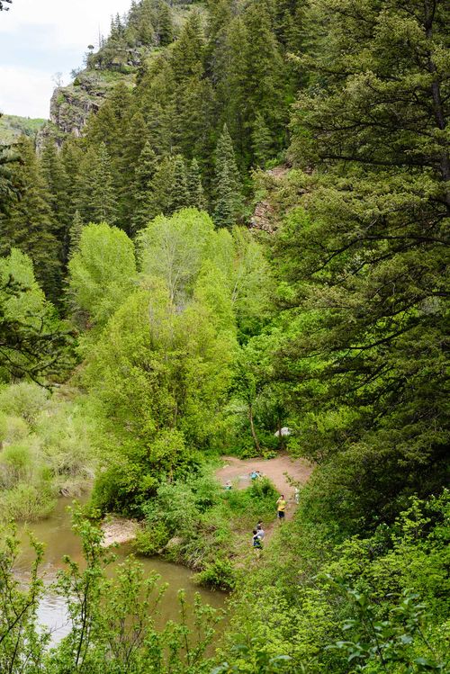 May 2016 causey web (1 of 1)-2