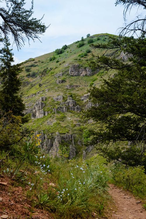 May 2016 causey web (4 of 4)