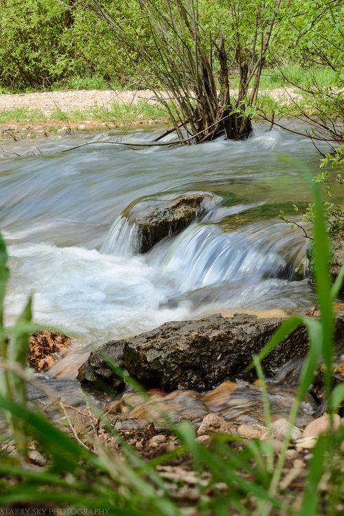 May 2016 causey web (9 of 9)