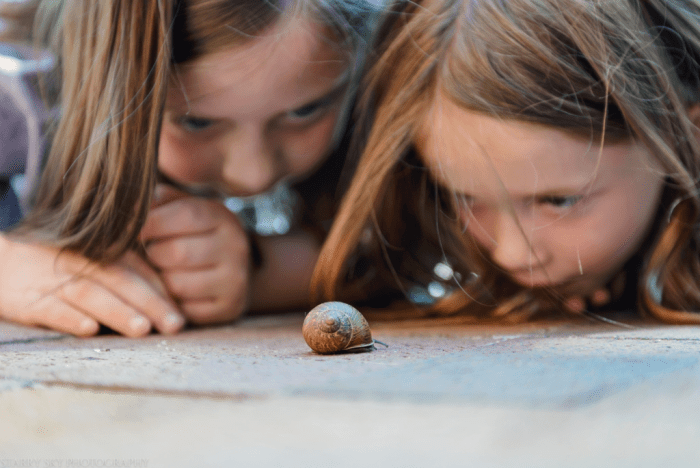 July 2016 snail web (1 of 1)