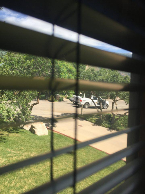 13695164_1178750148822427_478257793_n