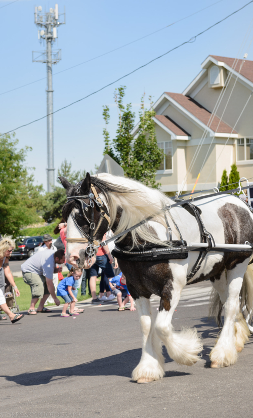 June 2016 parade web (10 of 18)