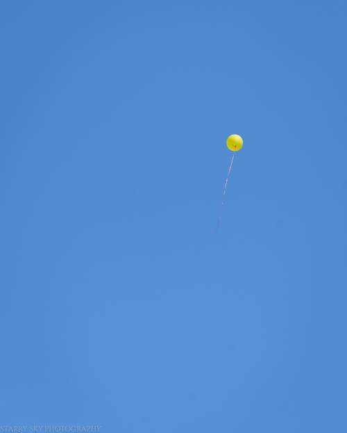 June 2016 parade web (7 of 18)