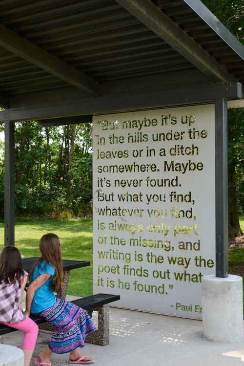 Aug 2016 WI iowa rest stop web (2 of 9)