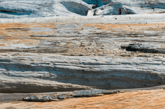 Apr 2016 deception pass web (9 of 13)
