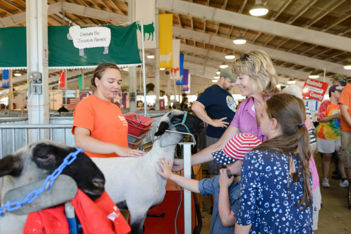 Aug 2016 WI State fair web (17 of 28)