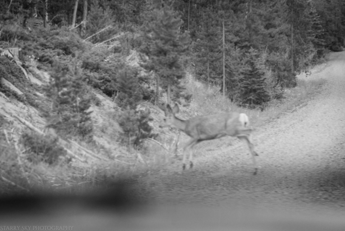 Jul  2016  rv web (3 of 3)