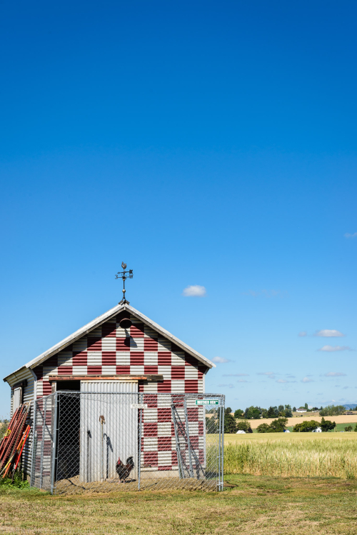Jul 2016 farm sale web (3 of 8)