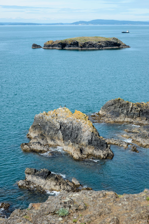 Apr 2016 deception pass web (2 of 13)