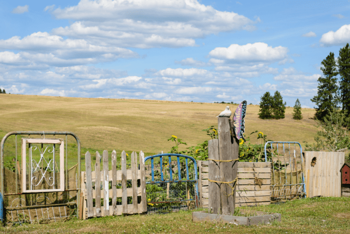 Jul 2016 WA web (7 of 7)