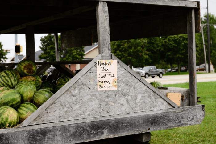 Aug 2016 watermelons wi web (1 of 7)