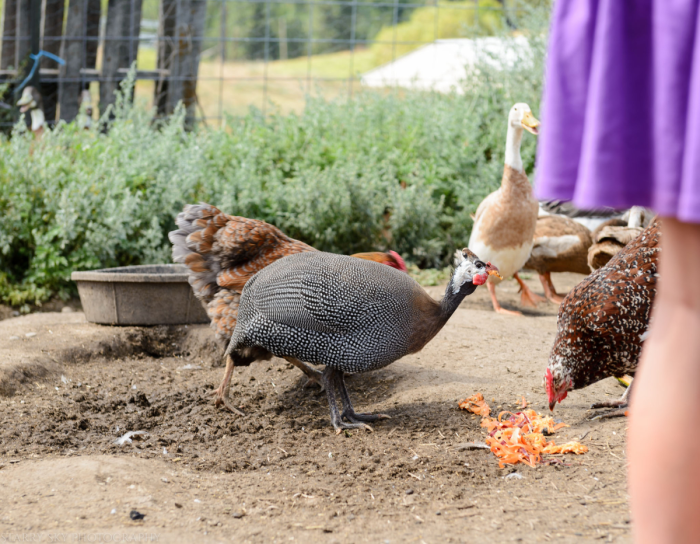 Jul 2016 WA web (1 of 1)-3