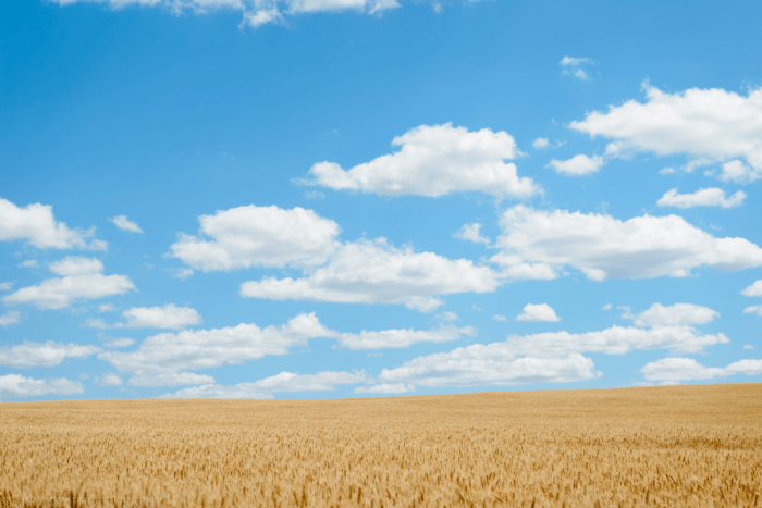 Jul 2016 WA web (1 of 1)