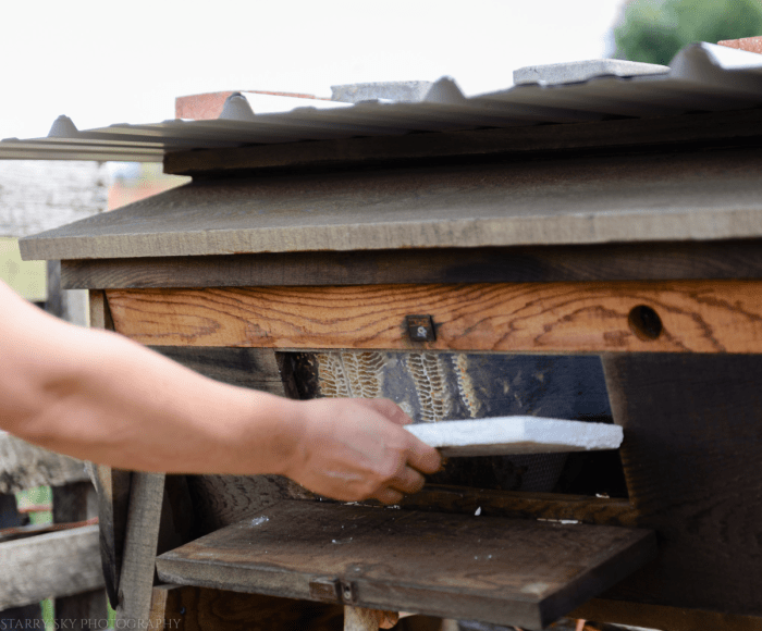 Jul 2016 WA web (1 of 1)-2