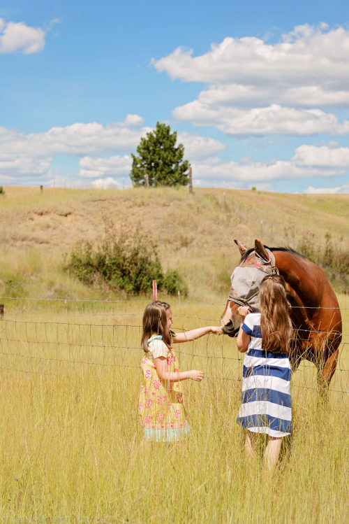 Jul 2016 WA web (6 of 7)