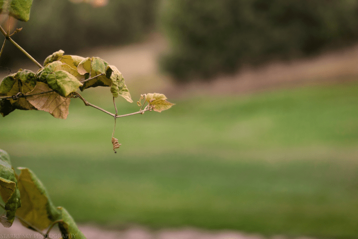 Sept 2016 WI  web (1 of 3)