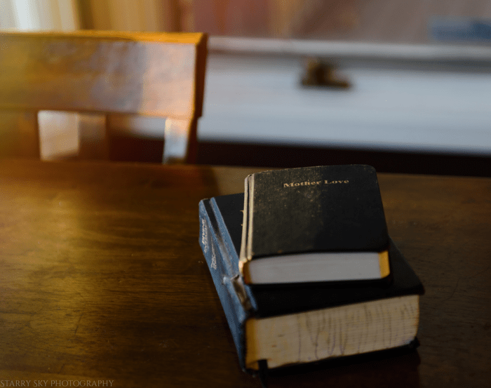 Oct 2016 mother love web  (1 of 1)