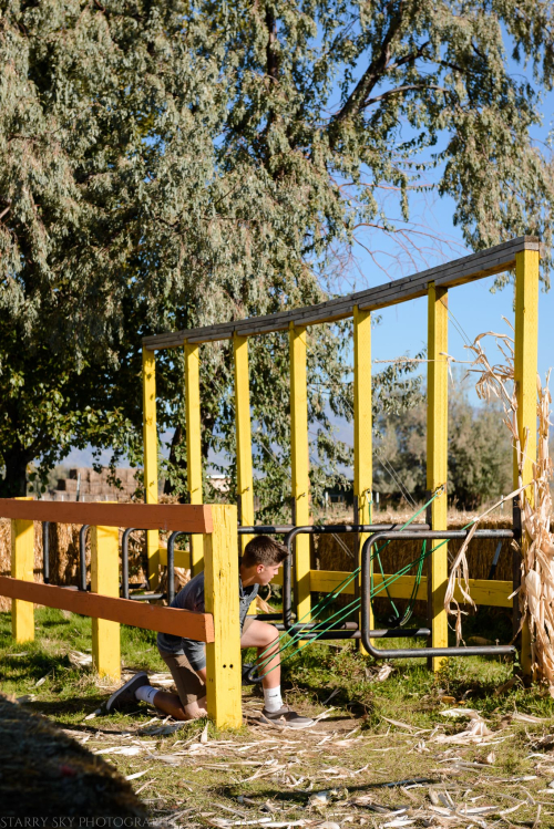 Oct 2016  black island farms web (11 of 22)