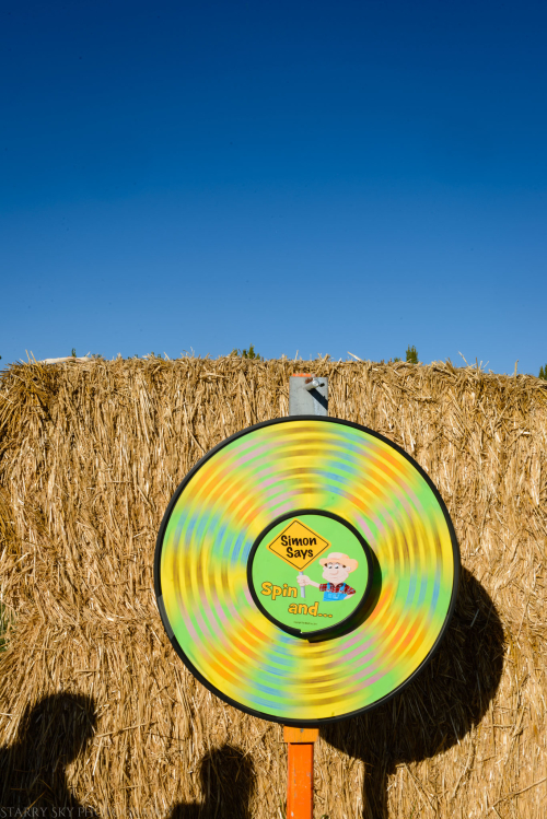 Oct 2016  black island farms web (19 of 22)