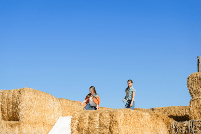 Oct 2016  black island farms web (4 of 22)