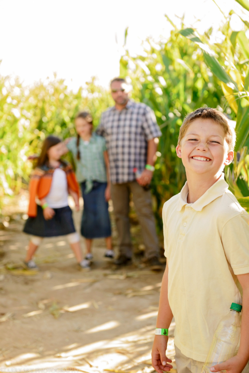Oct 2016 corn maze b web (1 of 1)