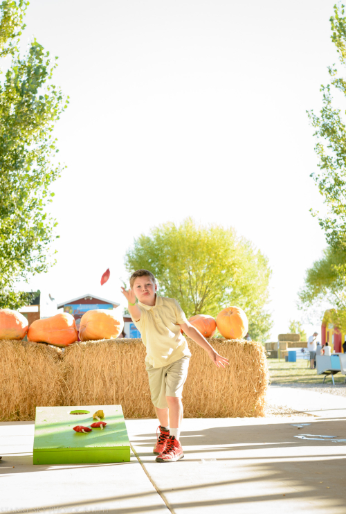 Oct 2016  black island farms web (21 of 22)