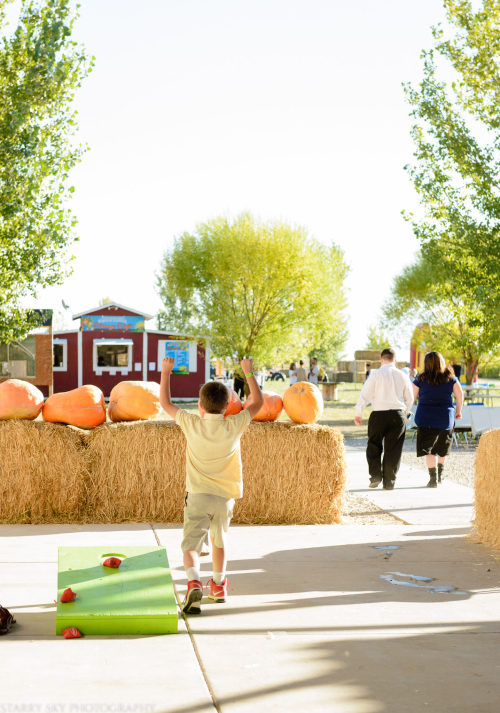 Oct 2016  black island farms web (22 of 22)