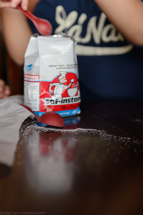 Mar 2016 breadmaking web (4 of 5)