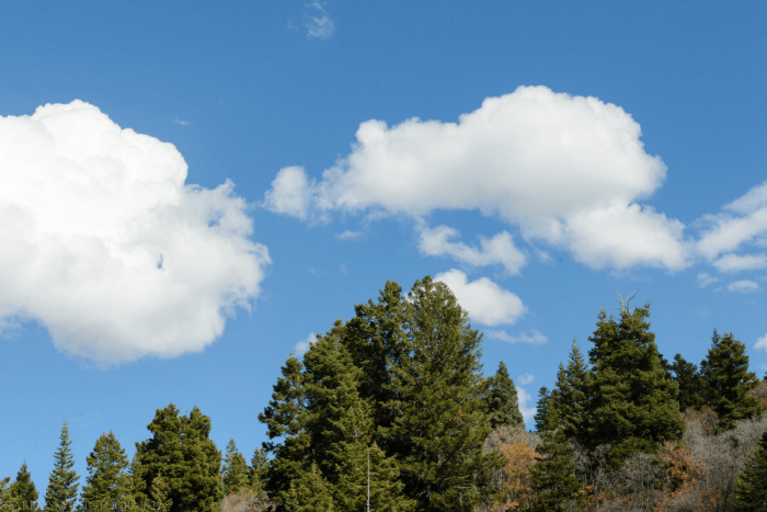 Oct 2016 snowbasin web (11 of 14)