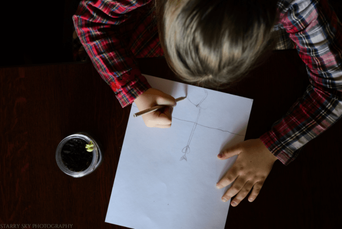 Nov 2016 botany web  (2 of 4)