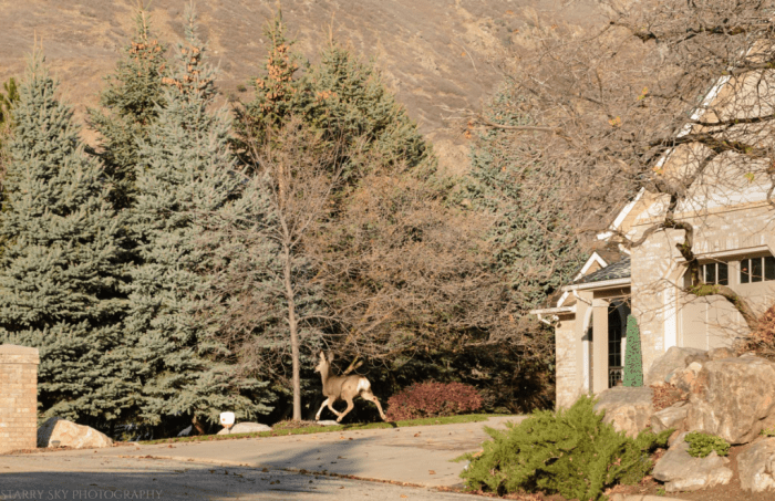 Nov 2016 thanksgiving web (10 of 14)