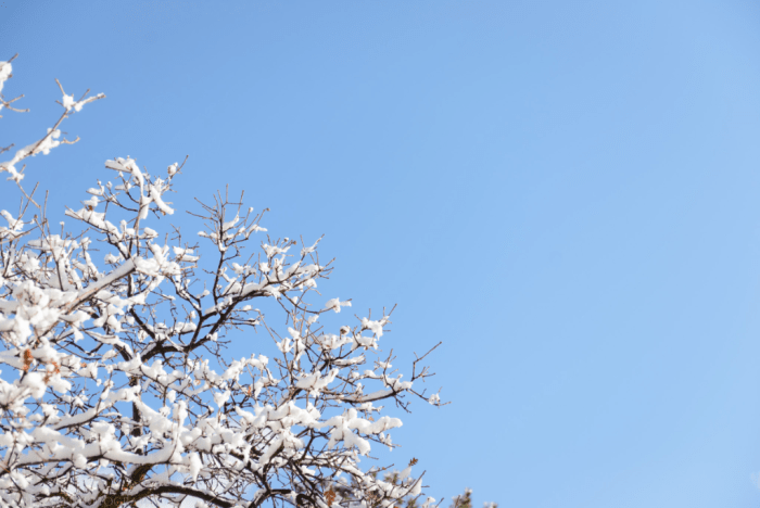 Nov 2016 thanksgiving web (2 of 14)