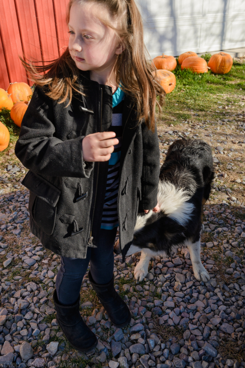 Nov 2016 farm table web (1 of 6)