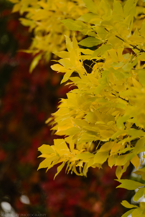 Oct 2016 kieran last game web  (6 of 7)