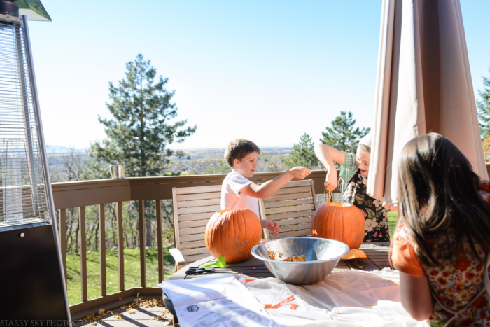 Oct 2016 pumpkins web  (3 of 7)